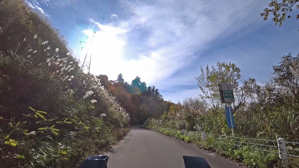 奥只見湖・樹海ライン 国道352号